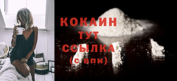 винт Гусев