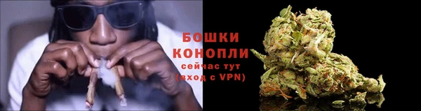 винт Гусев