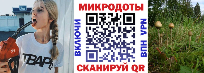 Купить где  Тюкалинск  Псилоцибиновые грибы мухоморы 
